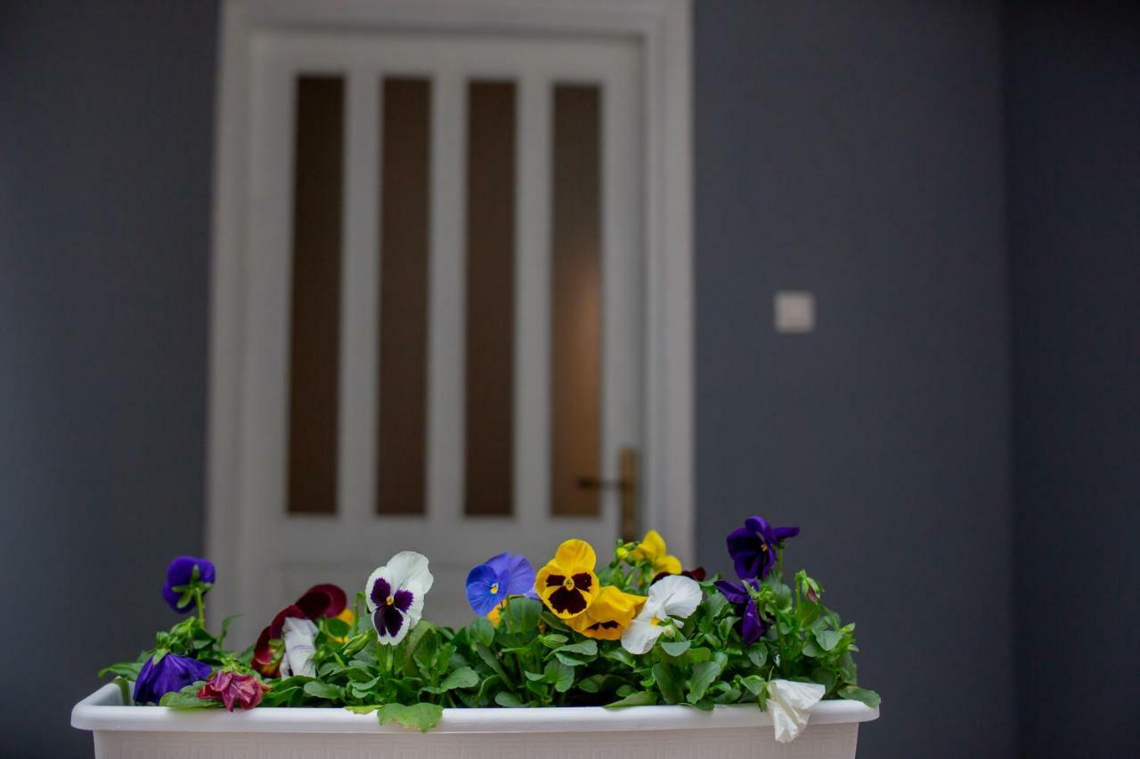 Apartmani Sunset Rogotin ภายนอก รูปภาพ